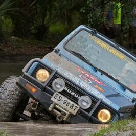 Tim Hardy - Suzuki Guru